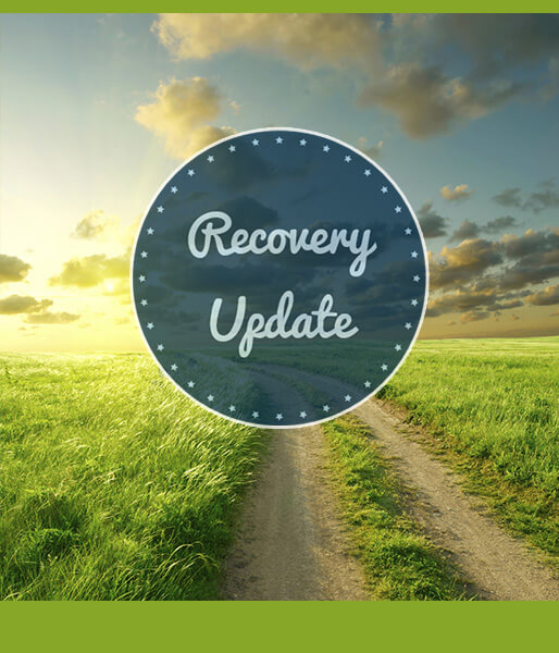 The cover of Recovery Update newsletter: A path in a grass field leads to sunrise on the horizon.