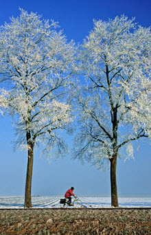 Photo of a person riding a bike in the winter.