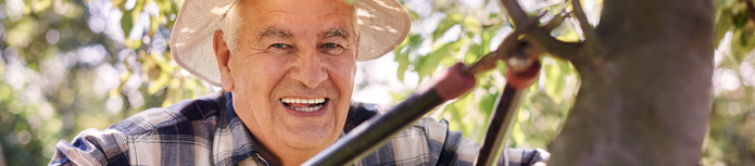banner: a close shot of an old man who smiles when fixing branches of a tree