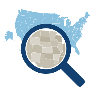 icon search USA