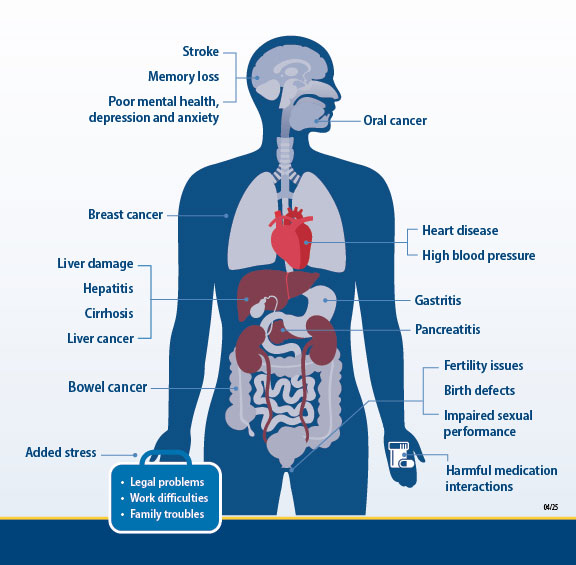 thumbnail of Alcohol Use Effects fact sheet